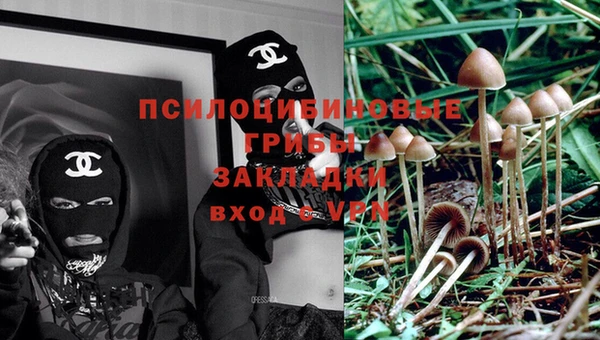 прущие крисы Гусев