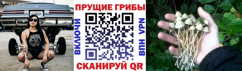 Купить закладки  Харабали  Галлюциногенные грибы ЛСД 